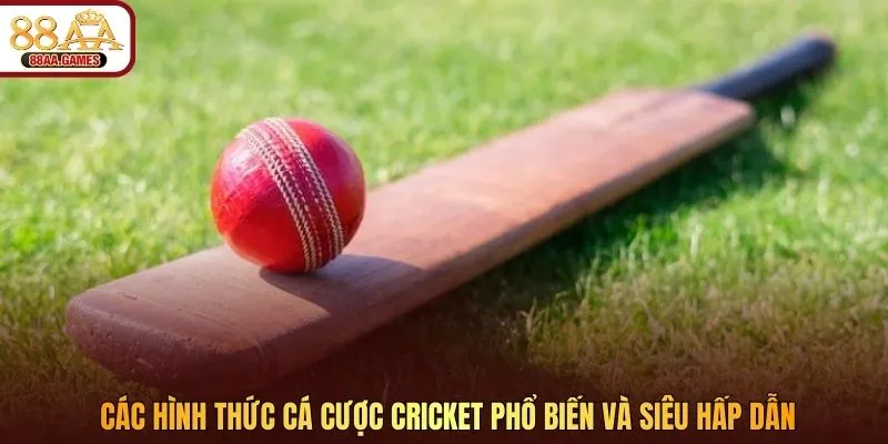 Các hình thức cá cược Cricket phổ biến và siêu hấp dẫn